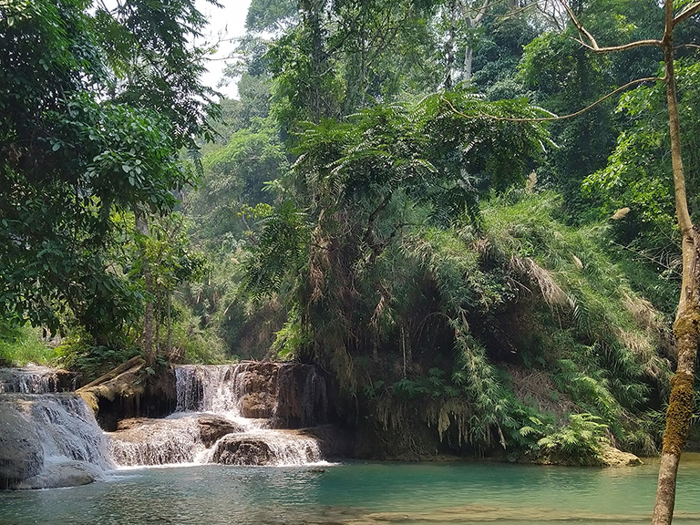Tat Kuang Si waterfall, Laos