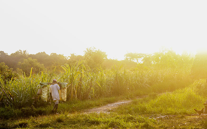 A local resident in Tamatave, Madagascar, transports goods to the nearest town